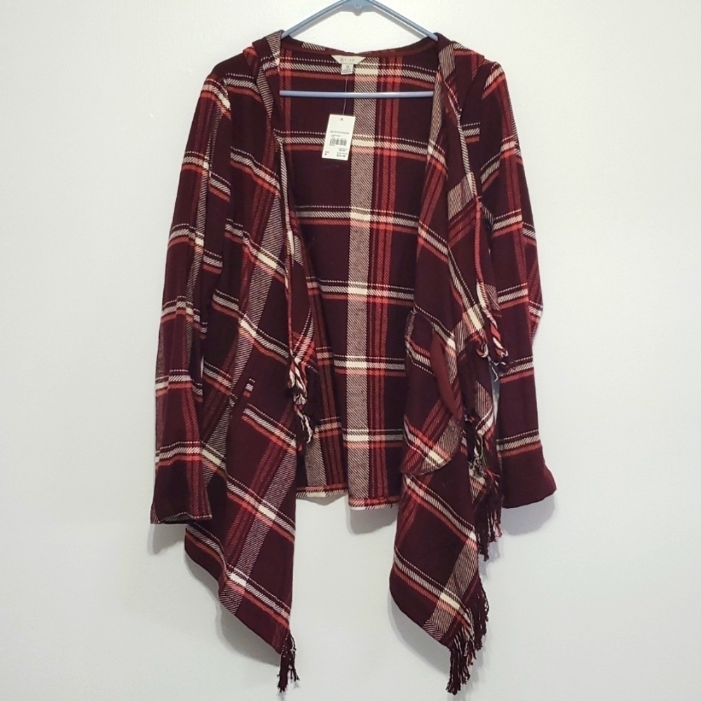 Size M cato cardigan